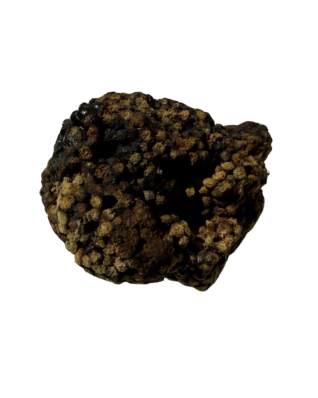 C-Grade Shilajit